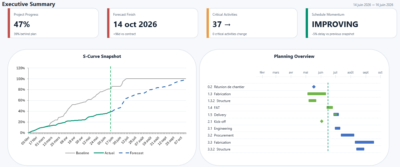 ProjectEngine executive dashboard in Excel